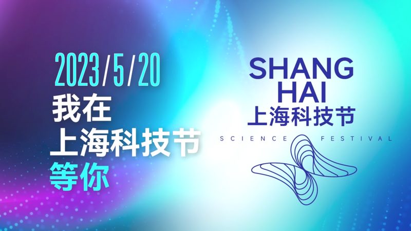 Java技术外包公司对比：关键考量与趋势分析